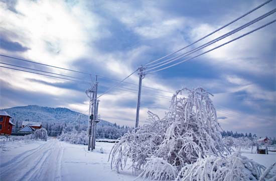 Ice and Snow Covered Utility Lines